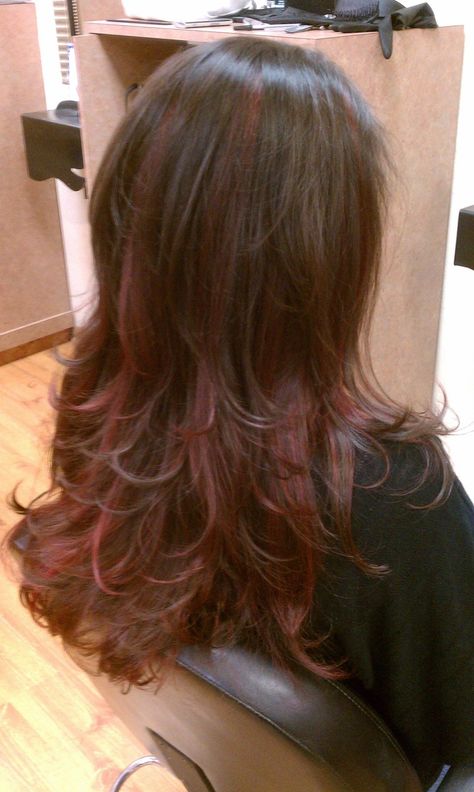 Brown Hair With Brown Red Highlights, Red Hair And Haircut, Red Highlights On Hair Brown, Brown Wavy Hair With Red Highlights, Layers With Red Highlights, Red Highlights In Light Brown Hair Curly, Red Hair Bottom Layer, Red Highlights With Layers, Cherry Red Lowlights