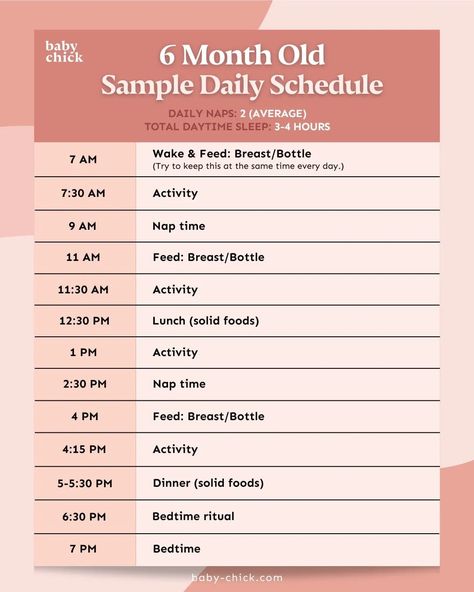 6 month old sample daily schedule graphic 6 Month Old Routine, Six Month Old Feeding Schedule, 6 Month Schedule Baby, 6 Month Feeding Schedule, Feeding Schedule For 6 Month Old, 6 Month Old Feeding Schedule, 4 Month Old Schedule, 6 Month Old Schedule, Milestones By Month