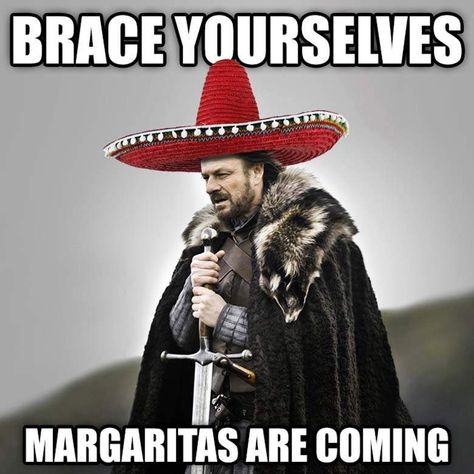 20 Hilarious Cinco de Mayo Memes | SayingImages.com Ned Stark, Even When It Hurts, 5 De Mayo, Ecards Funny, Escape Room, Funny Posts, Funny Photos, Dankest Memes, Funny Jokes