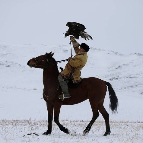 Eagle Hunter, Riding A Horse, Riding Horse, Golden Eagle, World Economic Forum, Nature Animals, A Horse, Horse Riding, The Snow