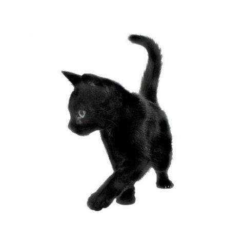 Chicas Punk Rock, Cat App, Y2k Icons, Black App, Arte Punk, Minimalist Icons, Insta Icon, Cat Icon, Png Icons