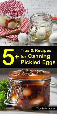 Canning Pickled Eggs, Pickeled Eggs, Best Pickled Eggs, Spicy Pickled Eggs, Recipes For Canning, Canned Pickled Beets, Pickled Quail Eggs, Preserving Eggs, Pickled Eggs Recipe