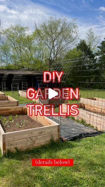 Cow Panel Garden Trellis, Diy Wood Trellis, Cheap Trellis, Cattle Fence, Wood Trellis, Diy Garden Trellis, Good Wood, Fence Panel, Instagram Diy