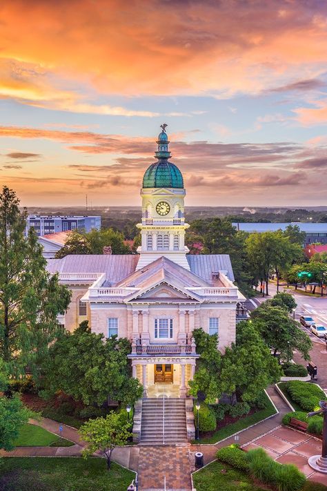 Catch a college football game and cheer on the Bulldogs at the University of Georgia, the oldest state-chartered university in the United States. While you’re on campus, don’t miss the Georgia Museum of Art! Browse through the boutiques and antique stores lining the streets of Downtown Athens, and surround yourself in beauty at the State Botanical Garden of Georgia. 🍃 For more information on this destination, check out our Athens travel guide! Athens Travel Guide, Things To Do In Athens, Sanford Stadium, Georgia Photography, Iphone Wallpaper Photography, Athens Travel, Georgia Travel, Athens Georgia, Travel Wallpaper