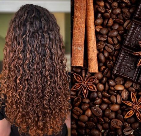 Golden Brown Highlights Curly Hair, Red Brown Curly Hair, Hair Chestnut Brown, Brown Hair Curly, Auburn Brown Hair, Curly Balayage Hair, Curly Hair Color Ideas, Brown Auburn Hair, Curly Hair Color