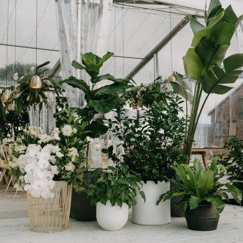 Wedding Styling Ideas, Wedding Styles Themes, Wedding Plants, Wedding Alters, Byron Bay Weddings, Event Planning Tips, Warehouse Wedding, Wedding Styling, Marquee Wedding