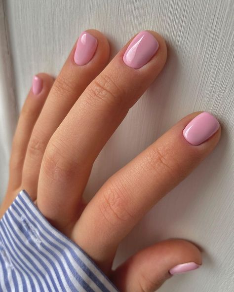 Pastel Shellac Nails, Short Gel Nails Spring Simple, Shellac On Short Nails, Simple Pink Nails Short, Pastel Dip Nails, Short Nails Pastel, Short Plain Nails, Pastel Nails Short, Pink Pastel Nails