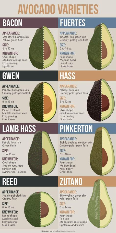 Everything You've Ever Wanted To Know About Avocados  http://www.prevention.com/food/everything-about-avocados?cid=soc_Prevention%2520Magazine_GOOGLE_PLUS_PAGE_Prevention__ Avocado Varieties, Avocado Types, Salad Watermelon, Watermelon Salad Recipes, Avocado Benefits, Avocado Dessert, Avocado Health Benefits, Salad Avocado, Brown Spots Removal