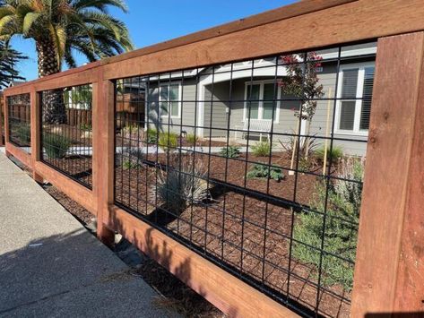 Hog Panel Fencing, Wild Hog Railing, Hog Wire Fence, Diy Backyard Fence, Wild Hog, Front Fence, Front Yard Fence, Rooftop Patio, Modern Fence