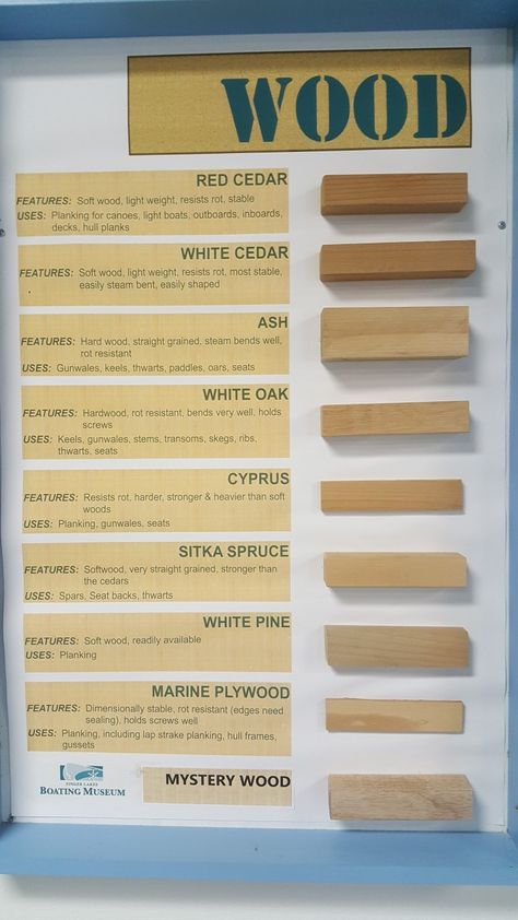 Wood Identification Chart, How To Identify Wood Types, Workbench Setup, Coconut Plant, Type Of Wood, Wood Lumber, Revamp Furniture, Wood Building, Woodworking Furniture Plans