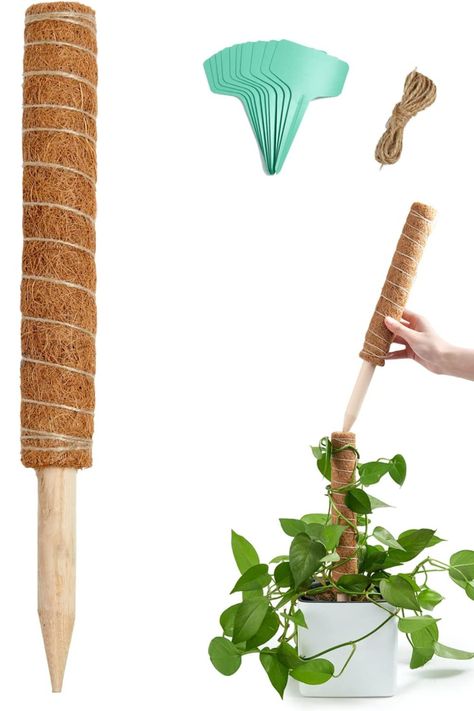 Joyhalo Moss Pole - 26.4 Inch Moss Pole for Plants Monstera, 2 Pcs 15.7 Inch Plant Pole for Climbing Plants, Real Handmade Moss Stick for Potted Plants, Coir Totem Pole Plant Pole, Pole Climbing, Plants Monstera, Creepers Plants, Plant Training, Plant Cages, Peace Pole, Moss Pole, Inch Plant