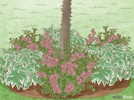 3 Ways to Create Tree Flower Beds - wikiHow Tree Base Flower Beds, Dogwood Shrub Landscaping, Planting Flowers Around A Tree, Flower Beds Under Trees, Planting Around Trees Base, Flower Bed Around Tree Ideas, Under Tree Flower Bed, Flowers Around Tree Front Yards, Flowerbed Around Tree