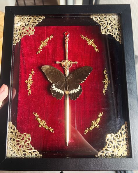 SOLD: Common Mormon in Black Shadowbox. Love how the red velvet looks in this piece ⭐️ . . . #smallbusiness #art #artist #butterfly #butterflies #insect #insects #bugs #handmade #curiosities #curio #curios #oddity #oddities #odditiesandcuriosities #taxidermy #gold #red #aesthetic #goth #gothic #decor #gothdecor #gothicdecor #black #shadowbox #velvet #sword Gold Red Aesthetic, Fairycore Nature, Entomology Art, Taxidermy Art, Aesthetic Goth, Bug Art, Goth Decor, Gothic Decor, Shadow Boxes