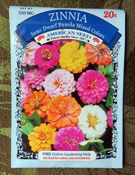 Planting Flower Seeds Indoors, How To Plant Flower Seeds, Zinnia Seeds Starting, Zinnia Flowers How To Grow, How To Plant Zinnias From Seed, Starting Flowers From Seeds Indoors, When To Plant Zinnia Seeds, Planting Zinnias From Seed, When To Plant Zinnias