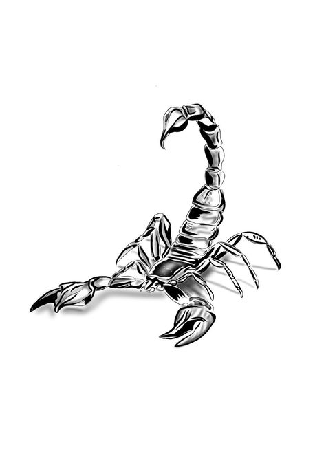 Tatoos Men Scorpion, Men’s Scorpion Tattoo, Chrome Scorpion Tattoo, Realistic Scorpion Tattoo Design, Realistic Scorpion Drawing, Scorpion Tattoo Drawing, Scorpion Tattoo Stencil, Scorpion Tattoo For Men, Chrome Scorpion