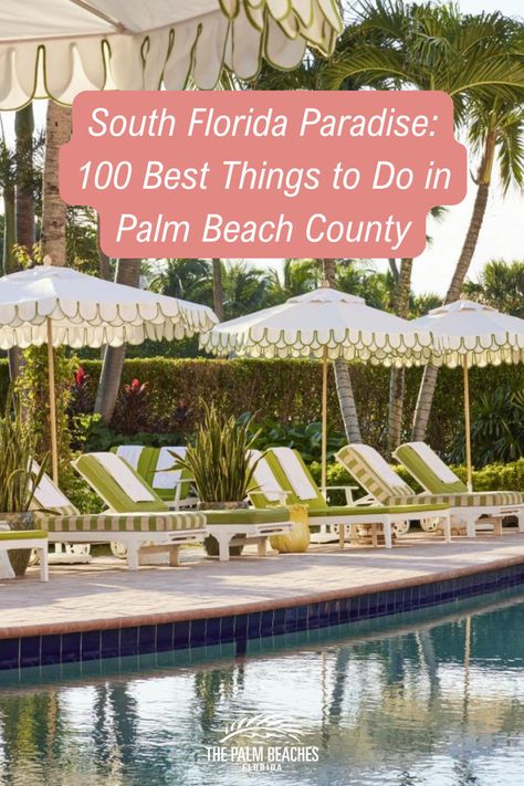 Here is Our Guide to the 100 Best Things to Do & Attractions in The Palm Beaches, Florida 🌴🌊 #ThePalmBeaches Miami International Airport, Passenger Train, The Passenger, Palm Beach County, The Palm, International Airport, Fort Lauderdale, South Florida, Palm Beach