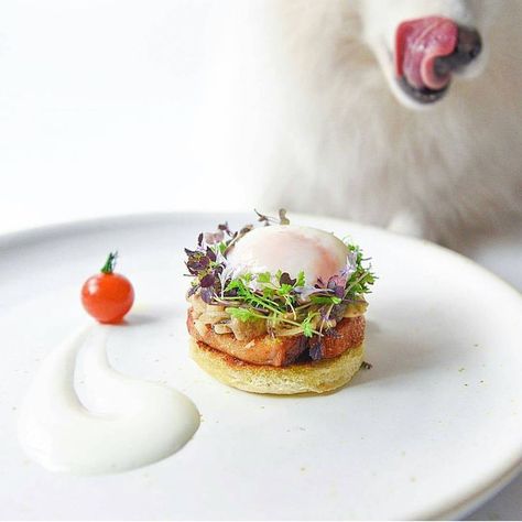 Fancy Breakfast, Sautéed Mushrooms, Poached Egg, Breakfast Plate, Breakfast Menu, Sauteed Mushrooms, English Muffin, Egg Breakfast, Poached Eggs