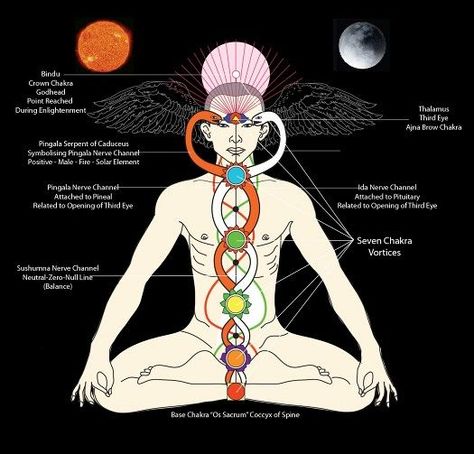 Polarity Therapy, Kundalini Meditation, Kundalini Awakening, Endocannabinoid System, Pineal Gland, Spirit Science, Chakra Yoga, Seven Chakras, Astral Projection