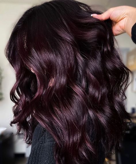 Late Summer Hair Color Brunette, Fall Hair Color For Brunettes Dark, Brunette Purple Highlights, Darkest Red Hair, Fall Purple Hair, Burgundy Purple Hair, Burgundy Highlights On Dark Hair, Light Burgundy Hair, Purple Burgundy Hair