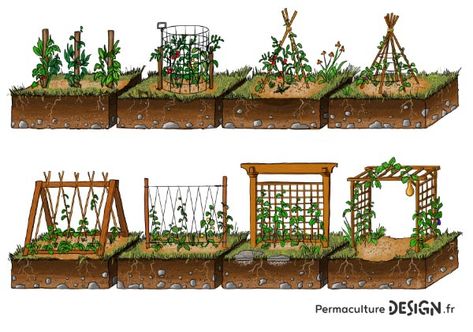 Fun Garden Art, Backyard Garden Layout, Garden Layout Vegetable, نباتات منزلية, Back Garden Design, Bird Bath Garden, Permaculture Gardening, Permaculture Design, Have Inspiration