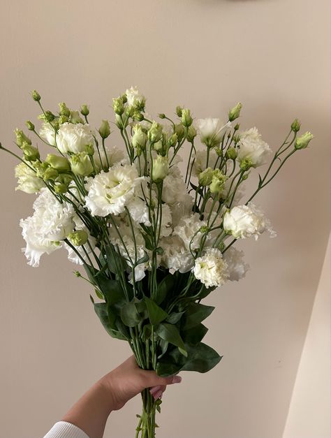 Liziantusz Flower, Lisanthius Bouquet, Lisanthius Flowers, Green Lisianthus, Lisianthus Bouquet, Lisianthus Flower, White Lisianthus, Eucalyptus Bouquet, Future Garden