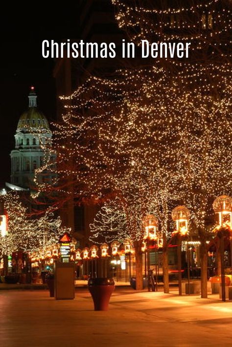 So, if one is visiting Denver or a native who has not celebrated Christmas yet, here is a list of activities for them to be a part of during the holiday season Denver Christmas, Denver Zoo, Visit Denver, Estes Park Colorado, Christmas Scenery, List Of Activities, Nutcracker Ballet, Steamboat Springs, Crested Butte