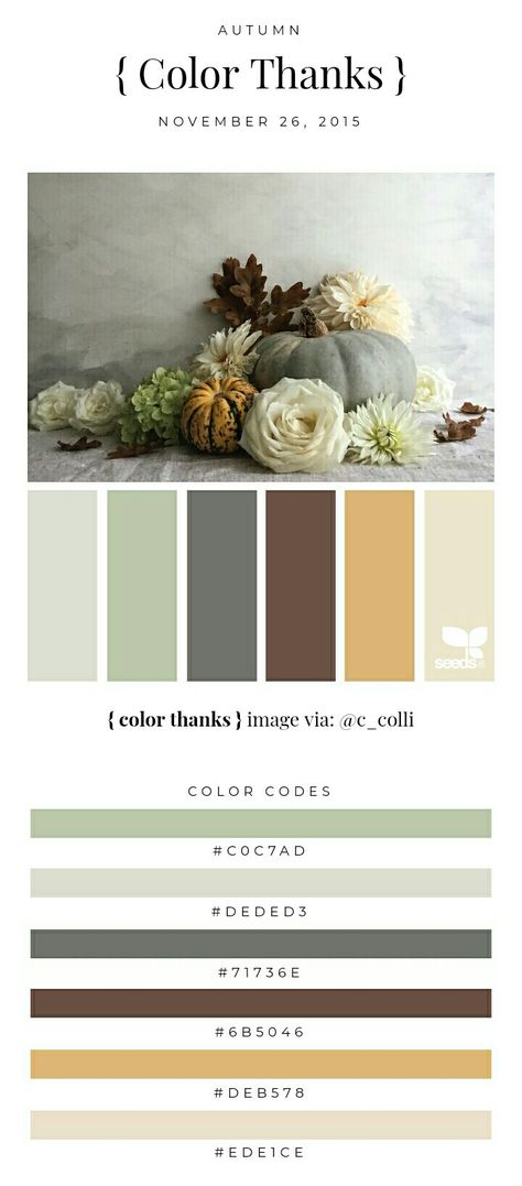 green, mint, sage, blue, brown, yellow, gold Best Bedroom Colors, Bedroom Colour Palette, Brown Color Schemes, Yellow Colour Scheme, Color Palette Yellow, Palette Design, Brown Color Palette, House Color Schemes, Yellow Bedroom