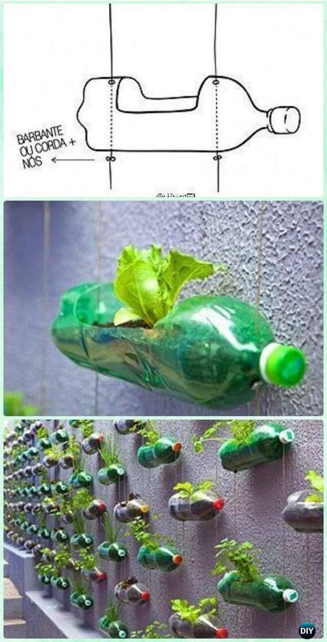 Plastic Bottle Garden, Plastic Bottle Planter, Reuse Plastic Bottles, Plants In Bottles, Plastic Bottle Art, Diy Plastic Bottle, نباتات منزلية, Vertical Herb Garden, Vertical Garden Diy