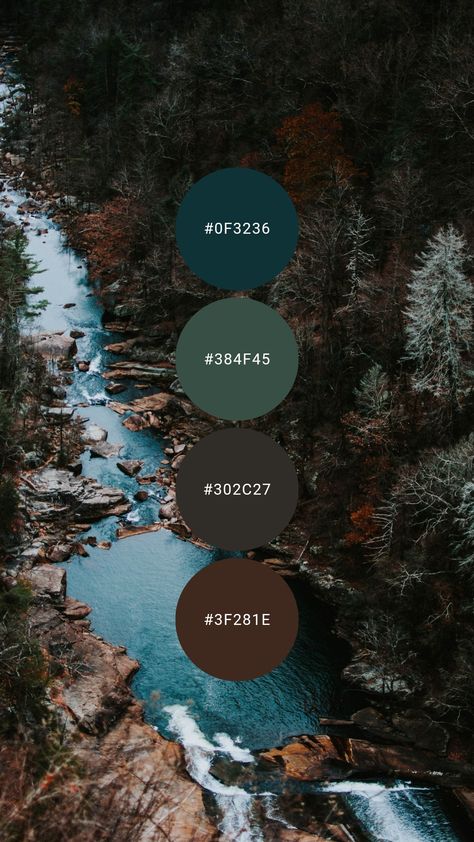 Color Palette Forest, Teal Color Palette, Teal Living Rooms, Teal And Brown, House Color Palettes, Forest Color, Brown Color Palette, Color Schemes Colour Palettes, Palette Ideas