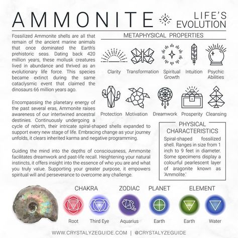 Ammonite Crystal Meaning, Ammonite Crystal, Psychic Crystals, Aquarius Planet, Crystals Guide, Christmas Oreos, Crystal Magick, Crystal Care, Charmed Book Of Shadows