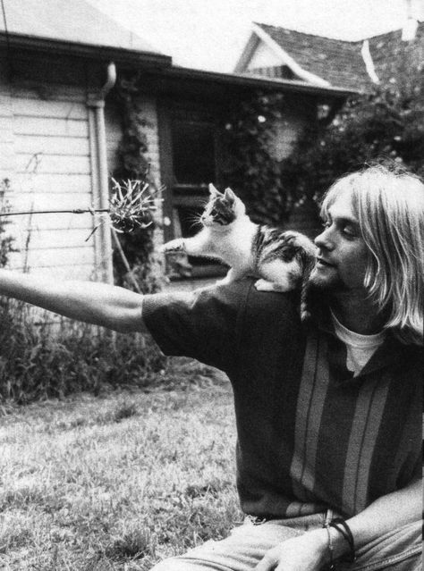 ROCKSTARS WITH CATS! (AND HORSES, AND ONE BUNNY) Kurt Cobain