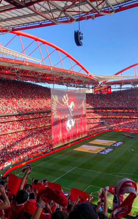 Benfica Wallpaper, Football Love, Cute Desktop Wallpaper, Football Stadiums, Albania, Desktop Wallpaper, Football, American Football