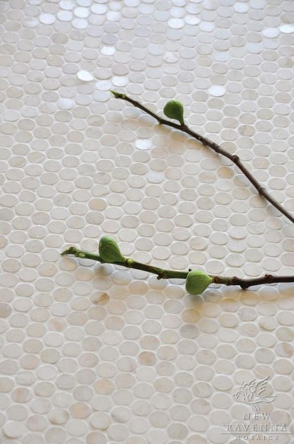 Penny floor painted white. Love! Penny Tile Backsplash, Penny Tiles Bathroom, Bathroom Feature Wall, Ravenna Mosaics, Penny Floor, Trendy Bathroom Tiles, New Ravenna, Beadboard Backsplash, Addition Ideas