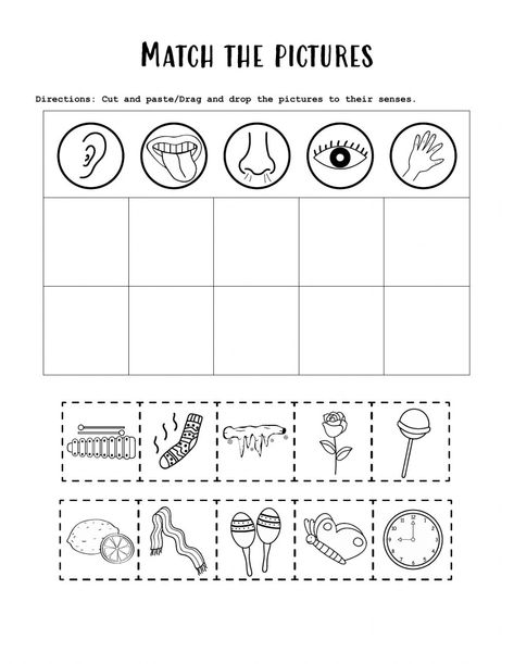 Worksheet 5 Senses, 5 Senses Worksheet For Grade 1, My Senses Worksheets, The Senses Activities For Kids, Five Senses Preschool Worksheets, 5 Senses Preschool Printables Free, Five Senses Sorting Free Printable, Five Senses Preschool Printables Free, 5 Senses Worksheet Preschool