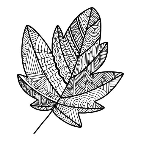 Premium Vector | Doodle Leave Sketch line illustration Vector handdrawn maple leave in doodle style with zentangle and zendoodle pattern Zentangle Leaf Patterns, Leave Sketch, Line Art Leaf, Vector Doodle, Doodle Style, Free Business Card Mockup, Business Card Maker, Poster Maker, Line Illustration