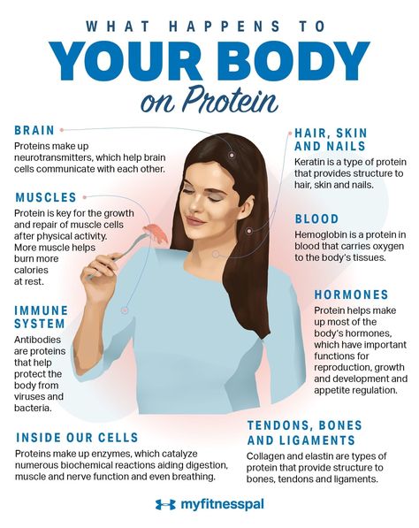 What Happens to Your Body on Protein | Nutrition | MyFitnessPal Protein Nutrition, Natural Detergent, Muscle Protein, Body Tissues, Muscle Tissue, Body On, Healthy Food Choices, What Happened To You, Sports Nutrition