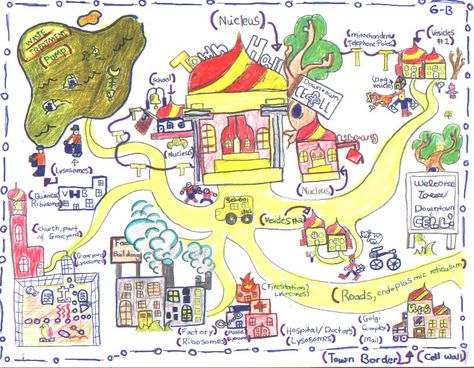 cell city example Plant Cell City Project Ideas, Cell City Project Ideas Drawing, Cell City Project Ideas, Cell City Project, Cell Analogy, Teaching Cells, Life Science Classroom, Cell City, Sixth Grade Science