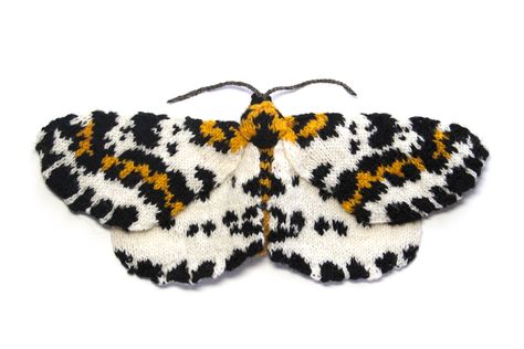 Tortoiseshell Butterfly, Moth Species, Sunset Moth, Shetland Wool, How To Start Knitting, Halloween Crochet, Butterfly Cards, Bag Crochet, Knitting Techniques