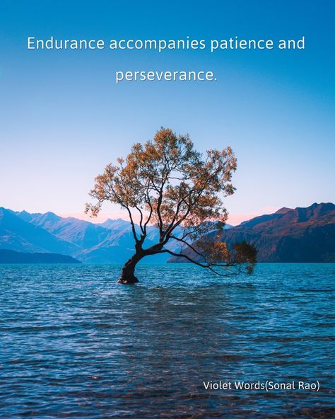 Endurance accompanies patience and perseverance. -Violet Words(Sonal Rao) Esl Lessons, Never Expect, Subconscious Mind, Inspirational Quote, Just Go, Mindfulness, In This Moment, Natural Landmarks, Travel