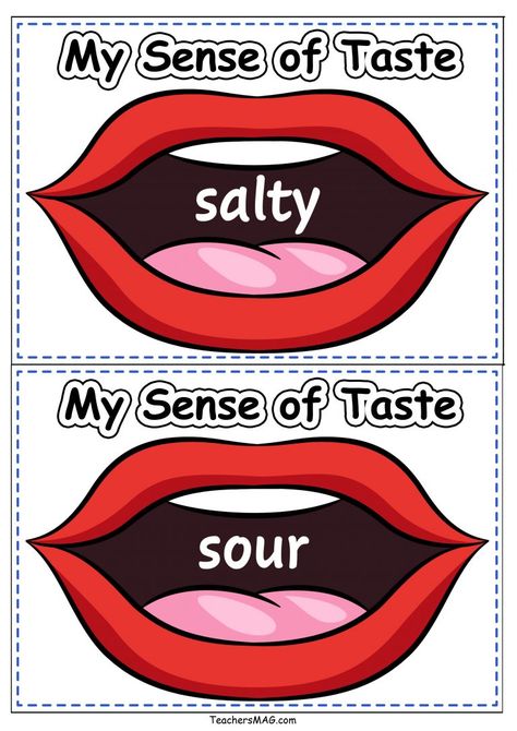 Sense of Taste Printables for Preschoolers | TeachersMag.com Sense Of Taste Activities Kindergarten, Taste Preschool Activities, Taste Activities For Preschoolers, Sense Of Taste Activities Preschool, Sense Of Taste Worksheet, Sense Of Taste Activities, Smell Activities, Tasting Activities, Senses Activity