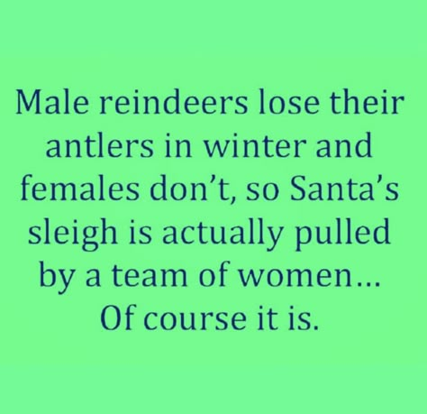 Snarky Christmas Quotes, Christmas Jokes, Holiday Quotes, Holiday Humor, Sarcastic Quotes Funny, Work Quotes, Christmas Quotes, Sarcastic Quotes, Christmas Humor