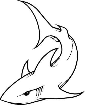 Shark Drawing Easy, Hai Tattoo, Hammerhead Shark Tattoo, Shark Images, Cool Sharks, Shark Drawing, Shark Coloring Pages, Shark Art, Shark Tattoos