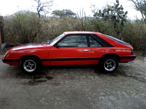 Ford mustang Hatchback 1984 Mustang Hatchback, Fox Mustang, Fox Body Mustang, Mercury Capri, Mustang Ii, Mustang Cobra, Car Ford, Buick, Ford Mustang