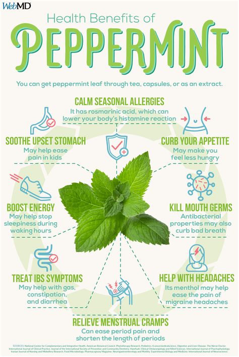 Benefits Of Peppermint, Treating Ibs, Help Constipation, Gluten Sensitivity, Seasonal Allergies, Peppermint Leaves, Peppermint Tea, Migraine Headaches, Common Cold