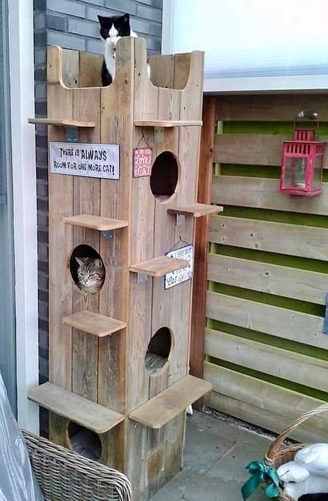 Outdoor Cat Tower, Outdoor Cat House Plans, Rental House Plans, Insulated Cat House, Outside Cat House, Cat House Plans, Outdoor Cat Shelter, Feral Cat House, Feral Cat Shelter