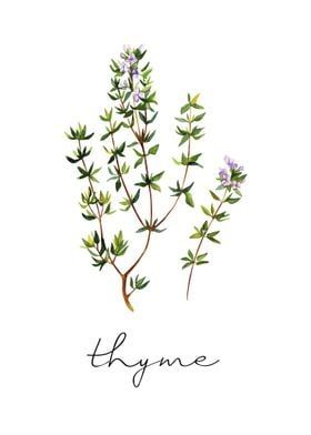 Displate is a one-of-a-kind metal poster designed to capture your unique passions. Sturdy, magnet mounted, and durable – not to mention easy on the eyes! Cooking Herbs, Just Ink, Watercolor Drawing, Nature Images, Tree Designs, Metal Poster Displate, Thyme, Metal Posters Design, Metal Posters