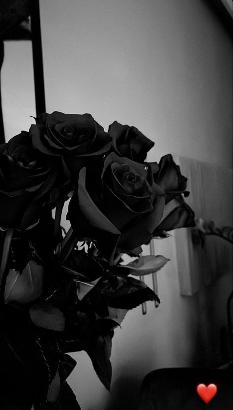 Wallpaper Mawar, Black Rose Bouquet, Black And White Wallpaper Iphone, Black Roses Wallpaper, Black Rose Flower, Rosé Aesthetic, Pretty Phone Wallpaper, Simple Phone Wallpapers, Dark Nature Aesthetic