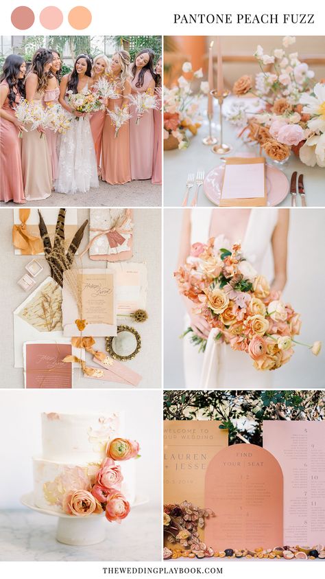 Fall Pastel Wedding Colors, Italian Wedding Color Schemes, Apricot Wedding Theme, Salmon Wedding, Peach Wedding Colors, Pastel Wedding Colors, Pastel Wedding Theme, Wedding Theme Color Schemes, Wedding Color Schemes Spring