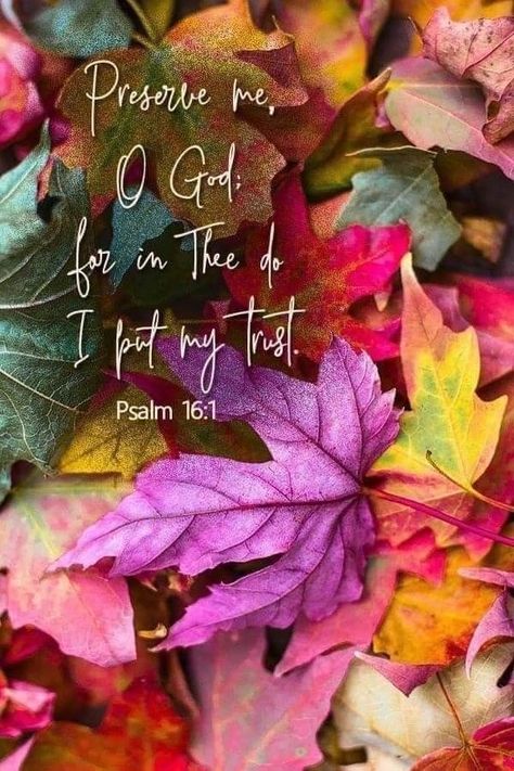 Fall Bible Verses, Jigidi Puzzles, Book Of Psalms, Daily Greetings, Bible Quotes Images, Bible Study Verses, Scripture Reading, Biblical Verses, Bible Verses Quotes Inspirational