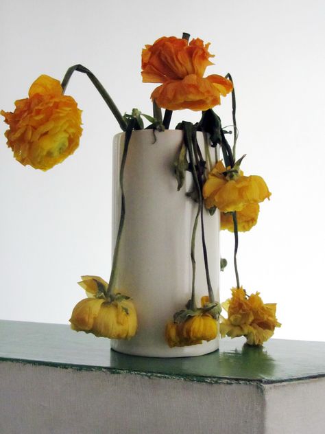 Dead Flower Bouquet, Flower Bouquet Delivery, Wilted Flowers, Dead Flowers, Sustainable Flowers, Growth And Decay, Bouquet Delivery, Natural Pest Control, Hanging Garden